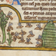 Illustration for article titled These Medieval Insects Might Give You The Creepy Crawlies